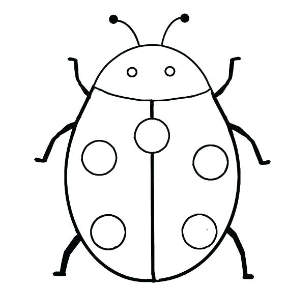 564x564 Drawn Bug Creepy Insect Pencil And In Color Drawn Bug Creepy
