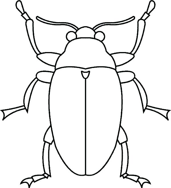 600x661 Beetle Coloring Bug Coloring Page Snout Beetle Coloring Pages Bugs
