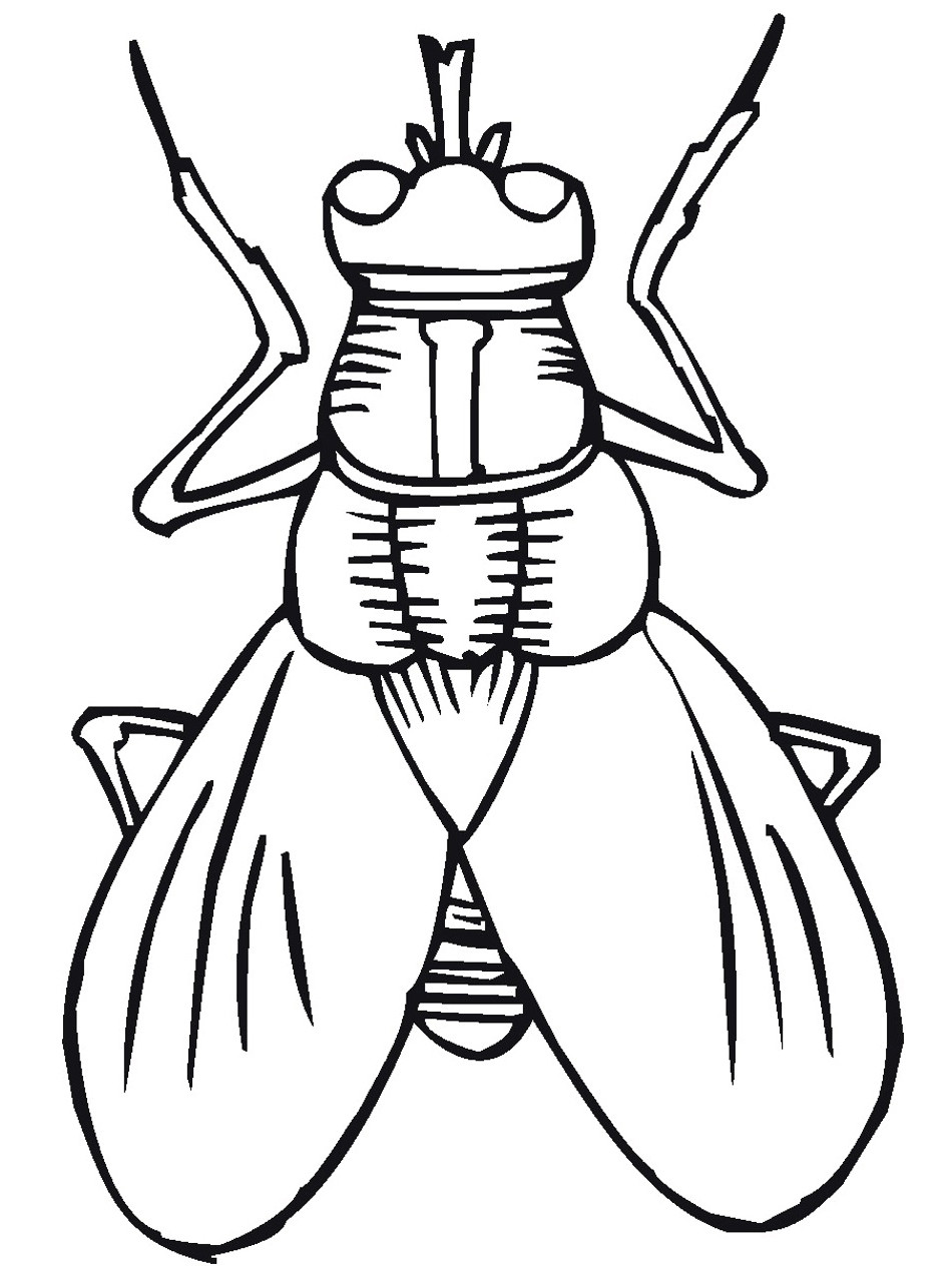 950x1266 Printble Bug Colouring Pages For Kids