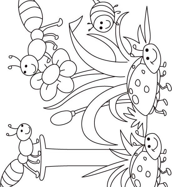 550x600 Birds And Insects Coloring Pages Bug Coloring Pages For Preschool