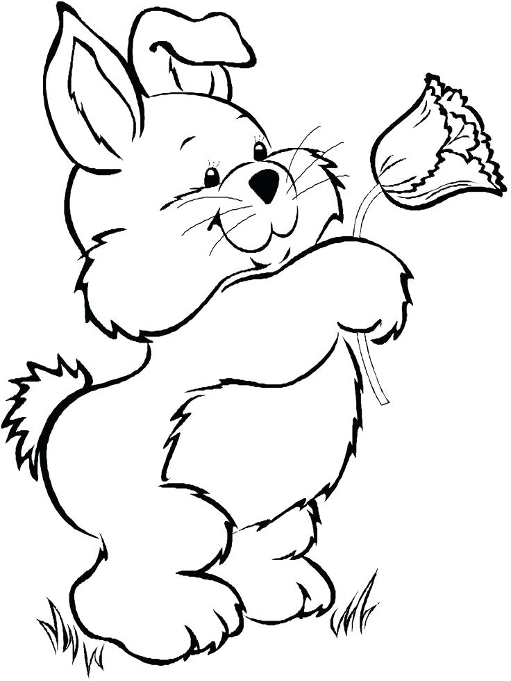 736x980 Bunny Coloring Pages Bunny Coloring Sheet An Bunny Hopping Free