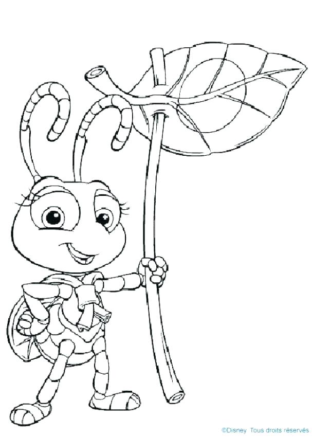 Bugs Coloring Pages Preschool
