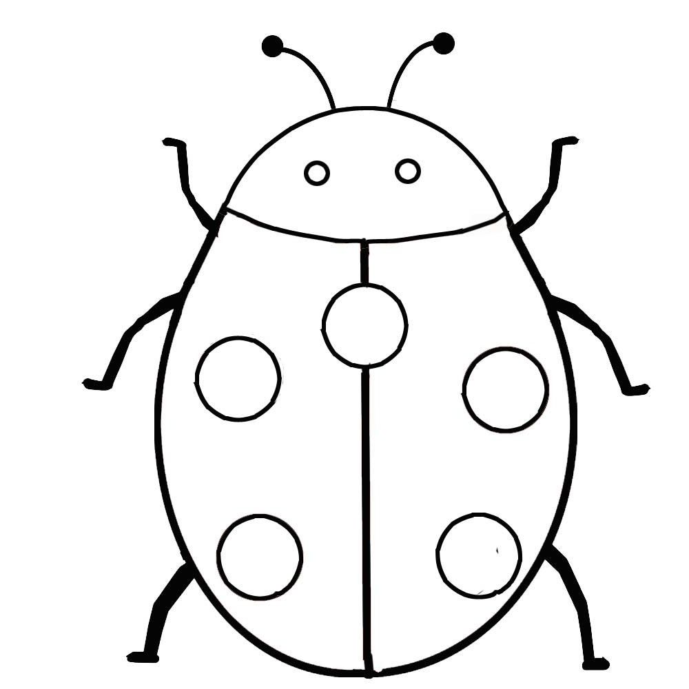 1000x1000 Bugs And Insects Coloring Pages Cats Too Insects