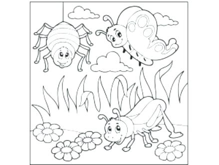 439x330 Entertaining Bugs Coloring Pages Best Of 5962 Entertaining Bugs