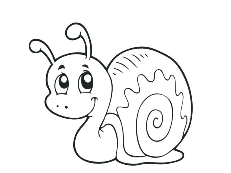 800x600 Insect Coloring Pages Preschool Coloring Pages Of Bugs Insect