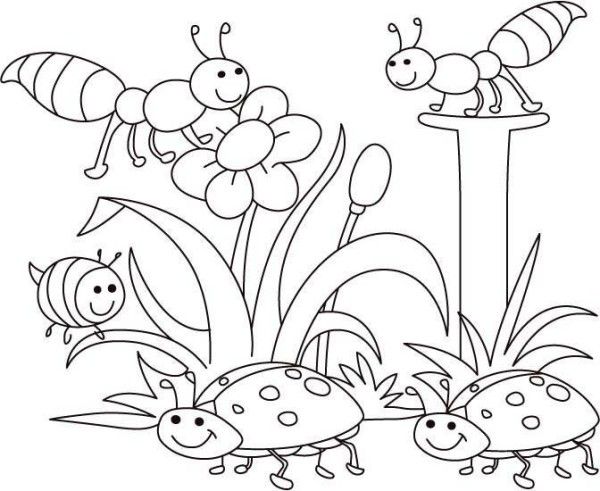 600x491 Spring Bugs Coloring Pages Activities For Classroom