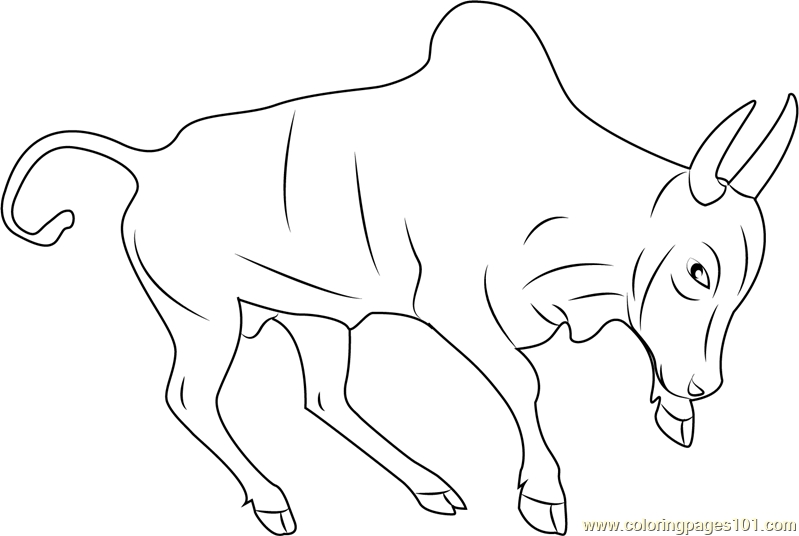 799x536 23 Bull Coloring Pages Collections Free Coloring Pages