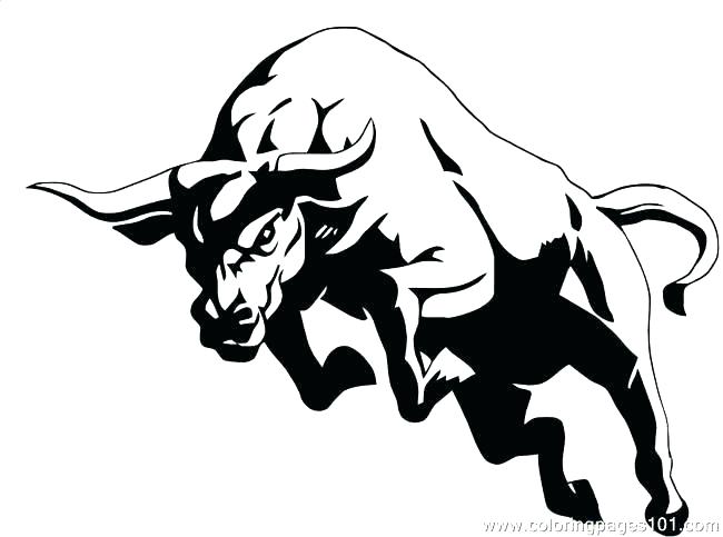 650x483 Bull Riding Coloring Pages