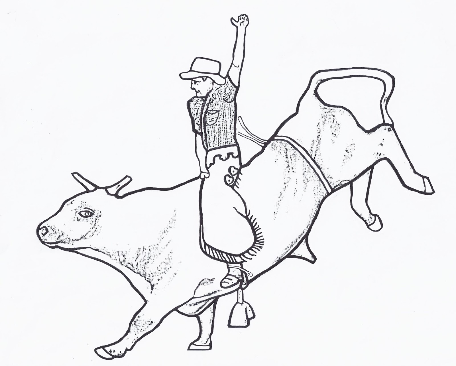 1600x1284 Bull Coloring Page