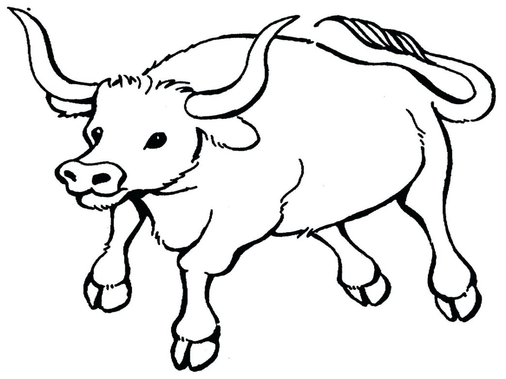 1043x782 Chicago Bulls Printable Coloring Pages Drawn Page Pencil And
