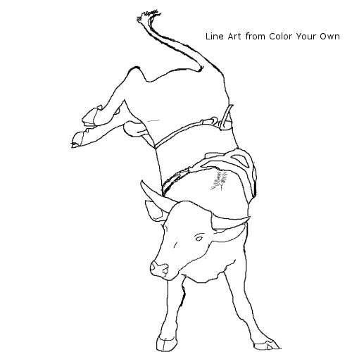 500x500 Bucking Bull Coloring Page Learning Support Resources