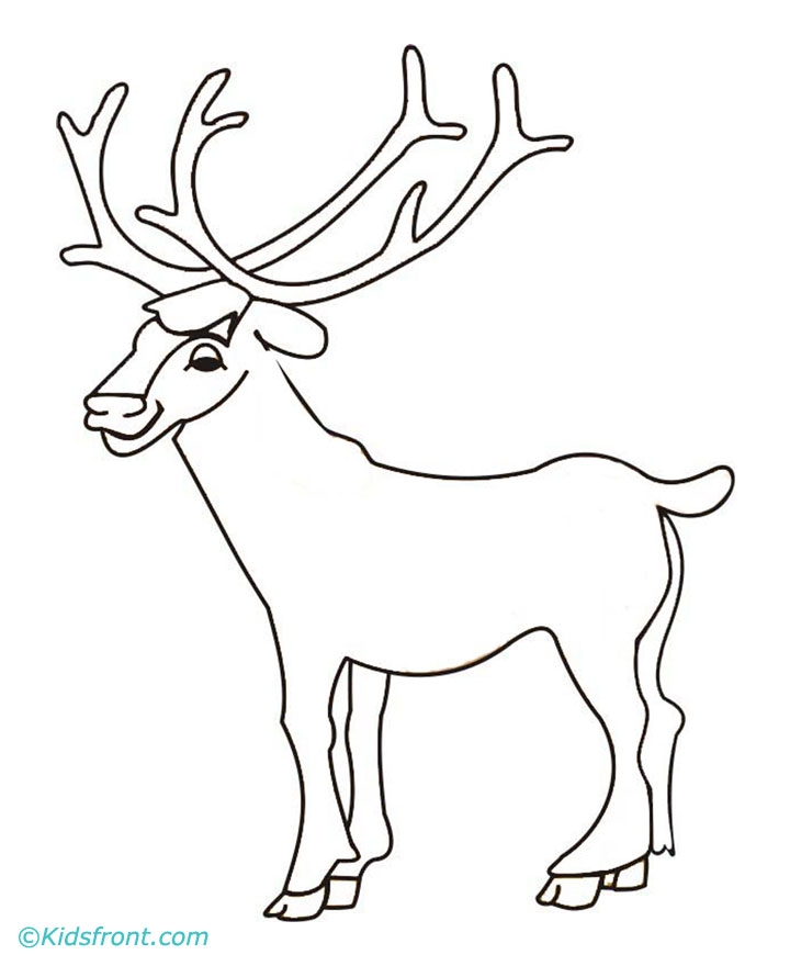 Bull Elk Coloring Pages