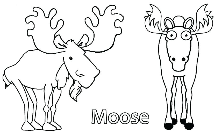 830x510 Coloring Pages For Kids Bulls Sheets Bull Elk And Baby Free Col