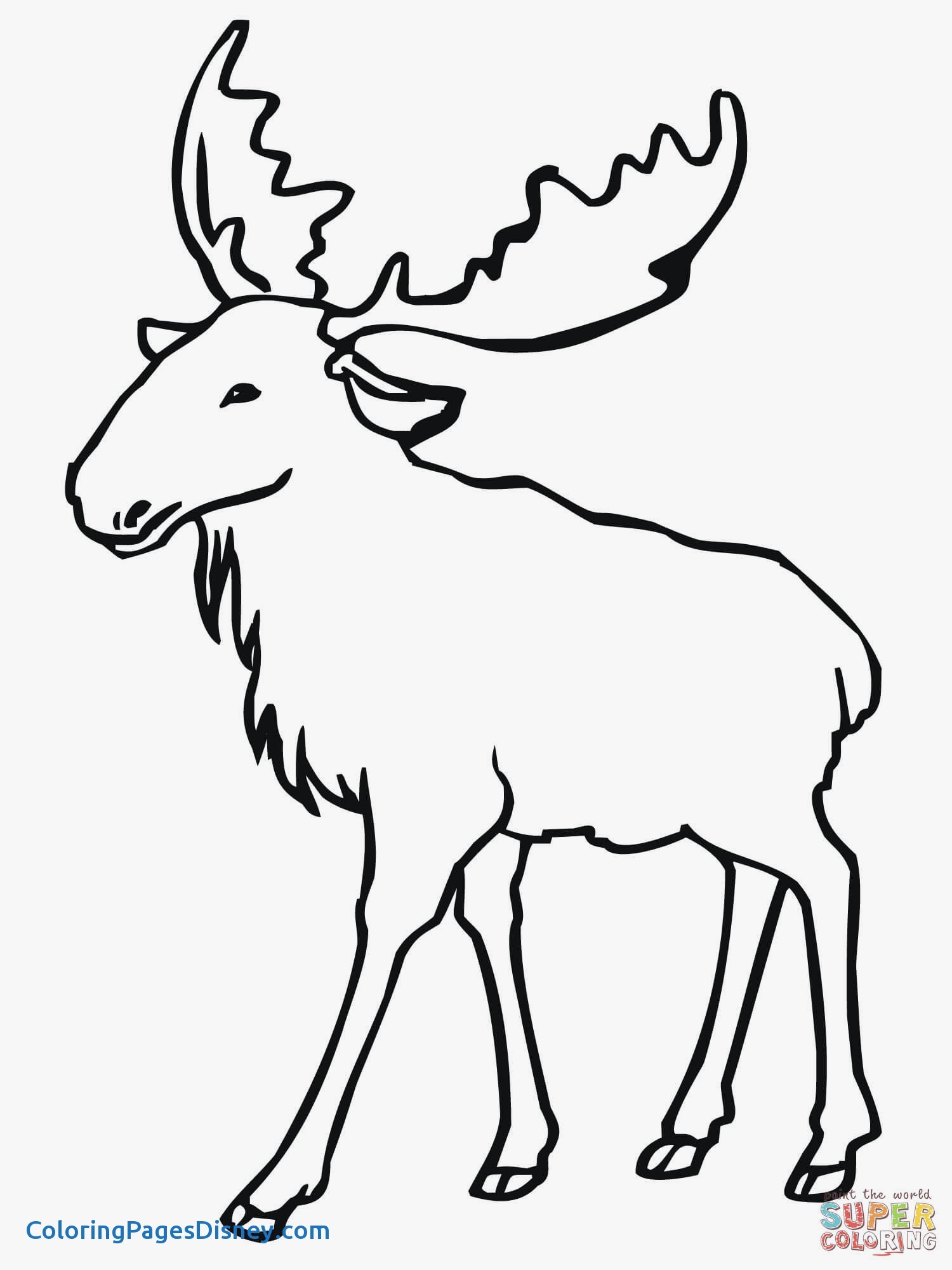 1500x2000 Elk Coloring Pages Fresh Eurasian Elk Moose Coloring Page