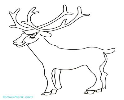 400x322 Bull Elk And Baby Elk Coloring Pages Download Print Online Bull