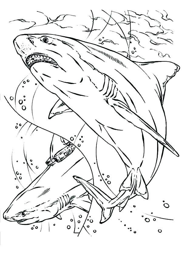 600x847 Bull Riding Coloring Pages Bull Riding Coloring Pages Free Cowboy