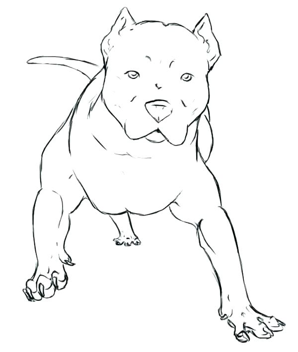 600x709 Bull Riding Coloring Pages Bull Coloring Page Coloring Page