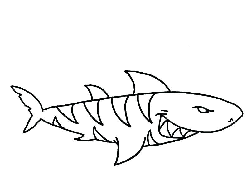 792x600 Shark Color Pages Tiger Shark Coloring Pages Drawn Tiger Shark
