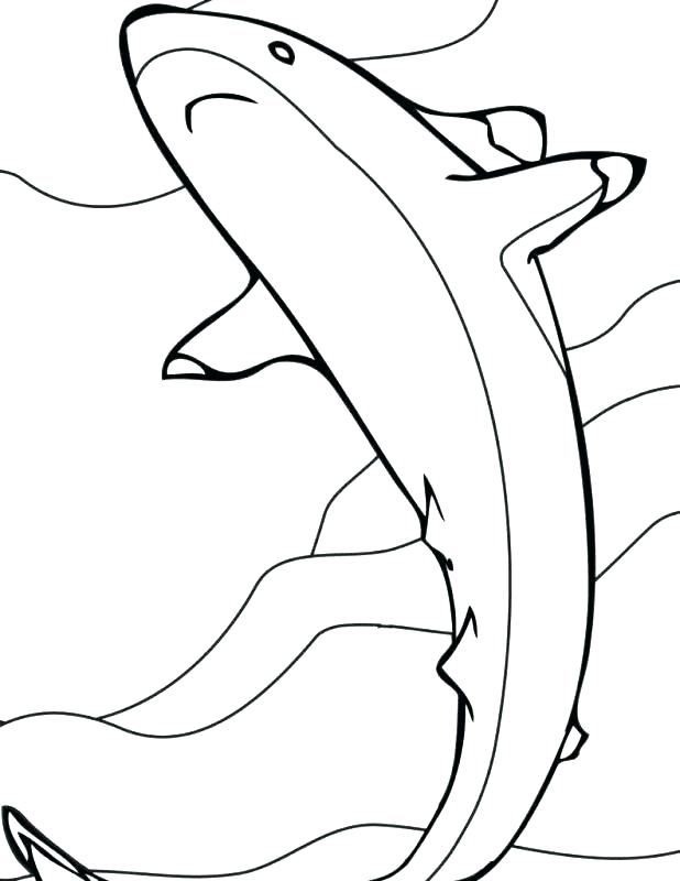 618x800 Shark Coloring Pages Printable Shark Coloring Pages To Print Bull
