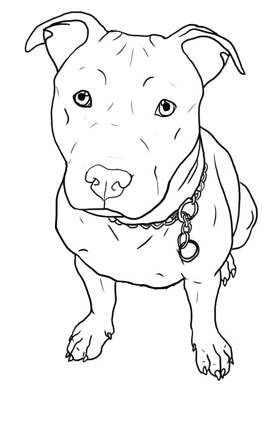 564x846 Coloring Pages Of Pit Bulls Terrier Or Pit Bull Terrier Line Art