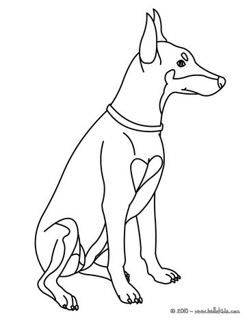 364x470 Labrador Coloring Pages