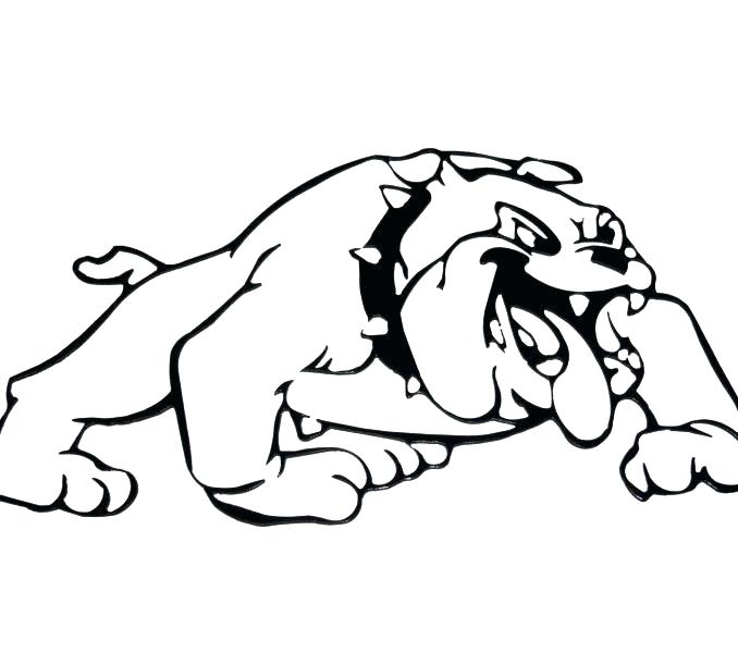 678x600 Boston Terrier Puppies Coloring Pages Or French Bulldog Adult Page