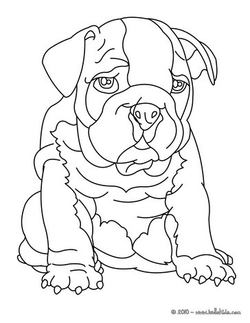 364x470 Bulldog Coloring Pages