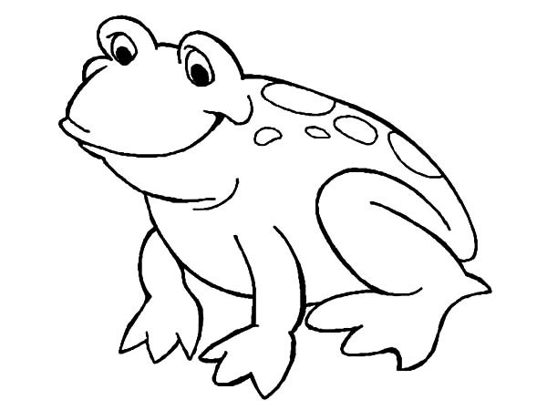600x450 Bullfrog Coloring Page Bullfrog Coloring Page Coloring Pages Ideas