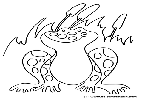476x333 Cattail Coloring Pages Page Image Clipart Images