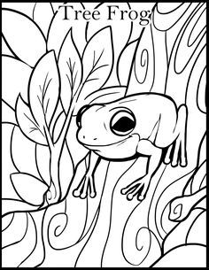 236x305 Adult Male American Bullfrog Coloring Page.jpg