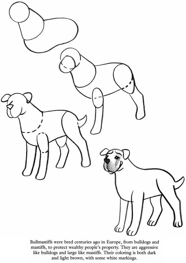 650x916 Bullmastiff Inspiration Drawings, Sketchbook Ideas