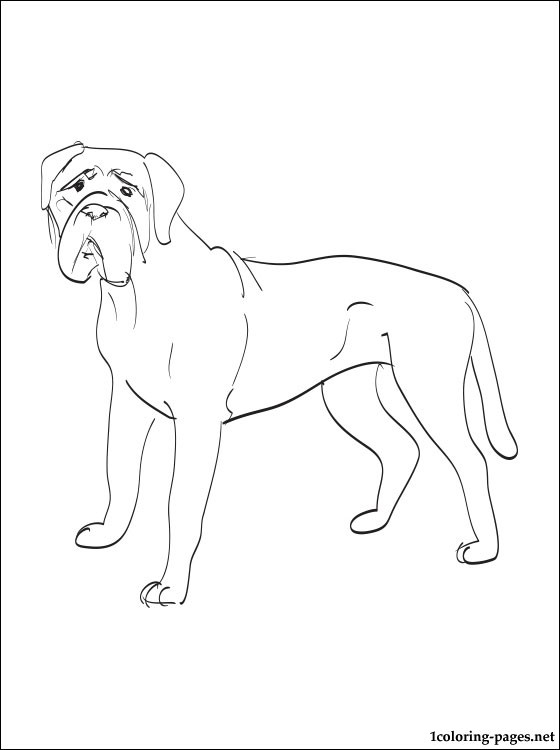 560x750 Bullmastiff Coloring Page Coloring Pages