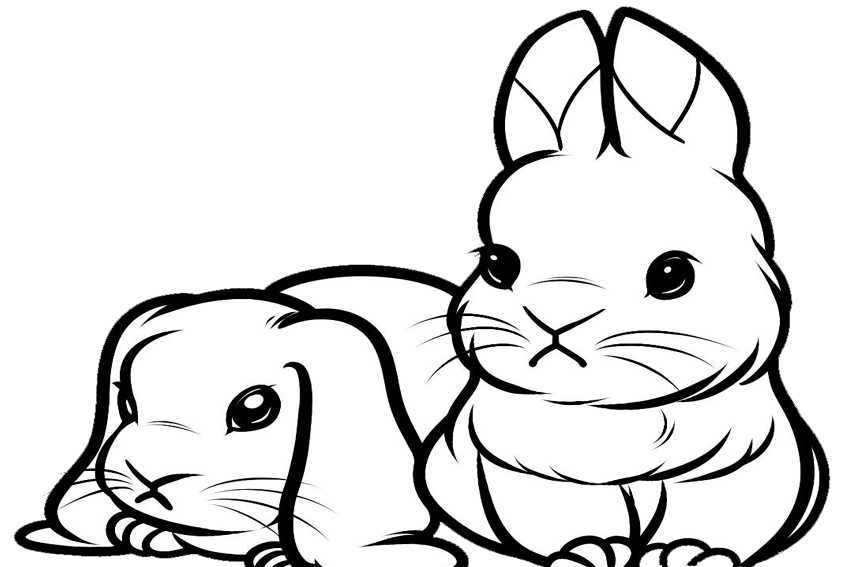 850x567 Cute Bunny Coloring Pages To Download And Print For Free