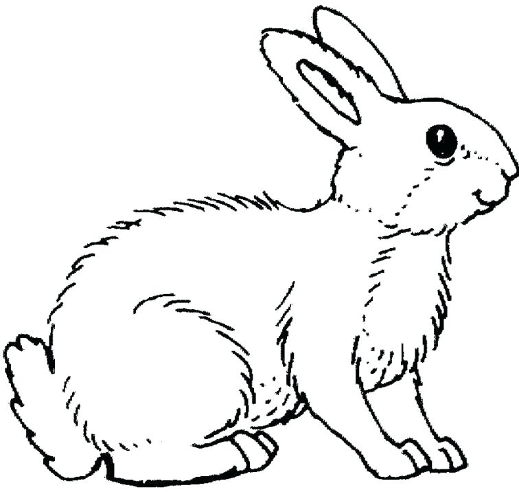 756x716 Bunny Coloring Page Girl Coloring Pages Baby Bunny Entertainment