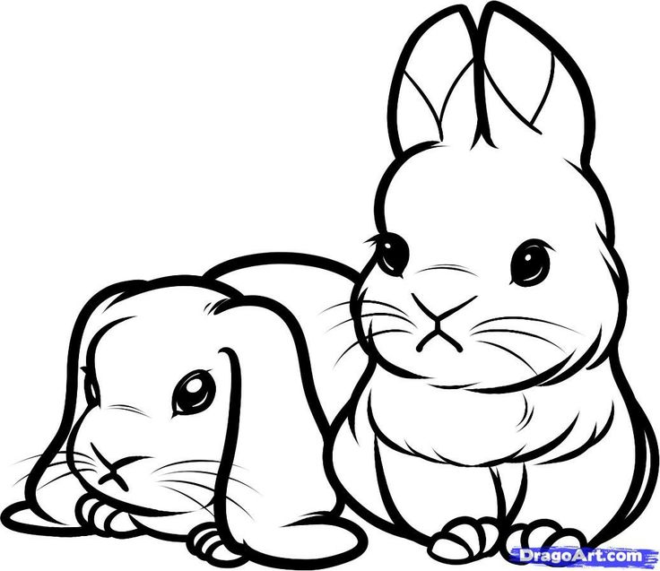 736x637 Pictures Of Bunnies To Color. Best 25 Bunny Coloring Pages Ideas