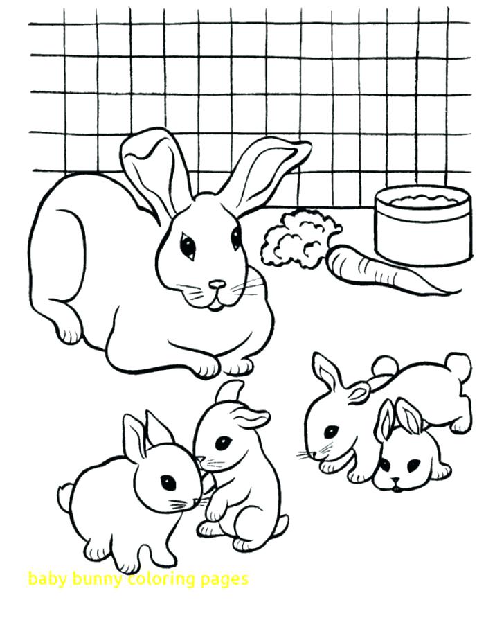728x892 Baby Rabbit Coloring Pages Coloring Page Bunny Also Bunny Coloring