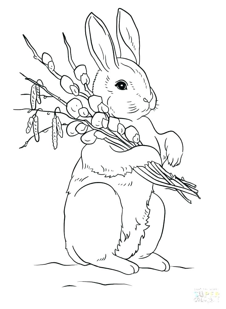 735x1005 Coloring Page Bunny Ear Coloring Page Ear Coloring Page Coloring