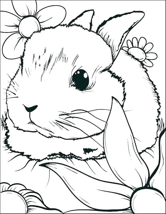 543x700 Bunny Color Page