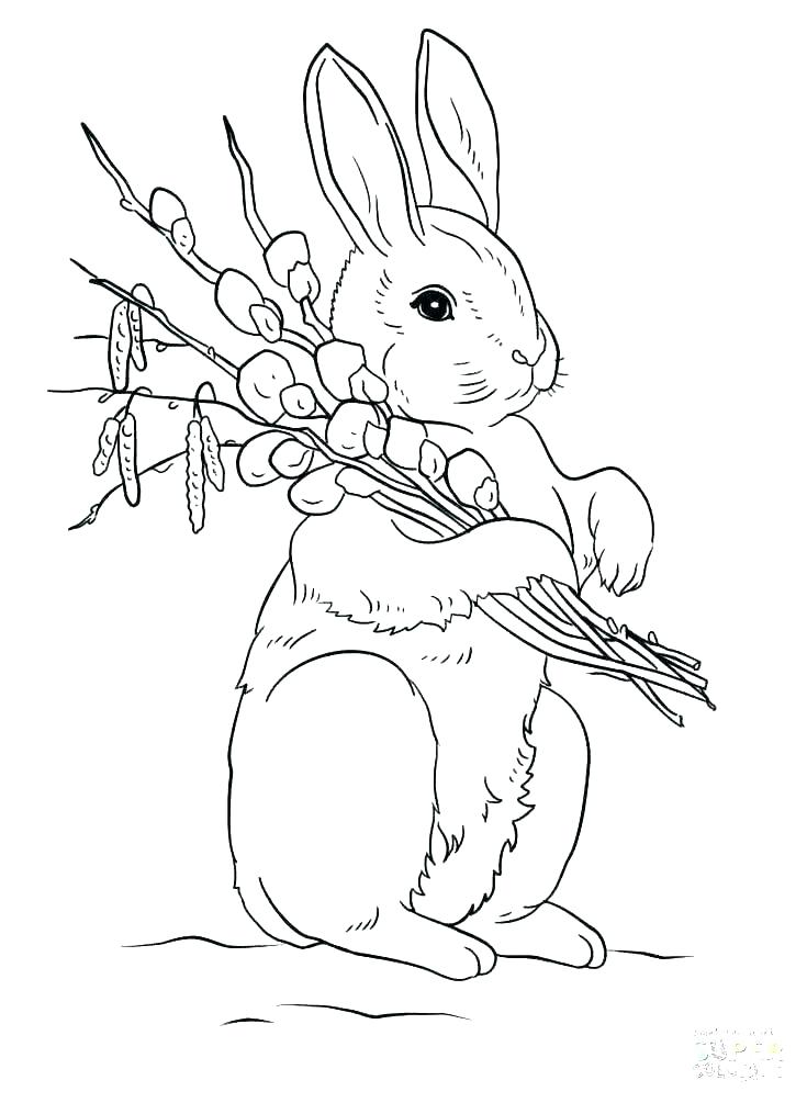 735x1005 Bunny Ear Coloring Pages Bunny Head With Ears Coloring Page Google