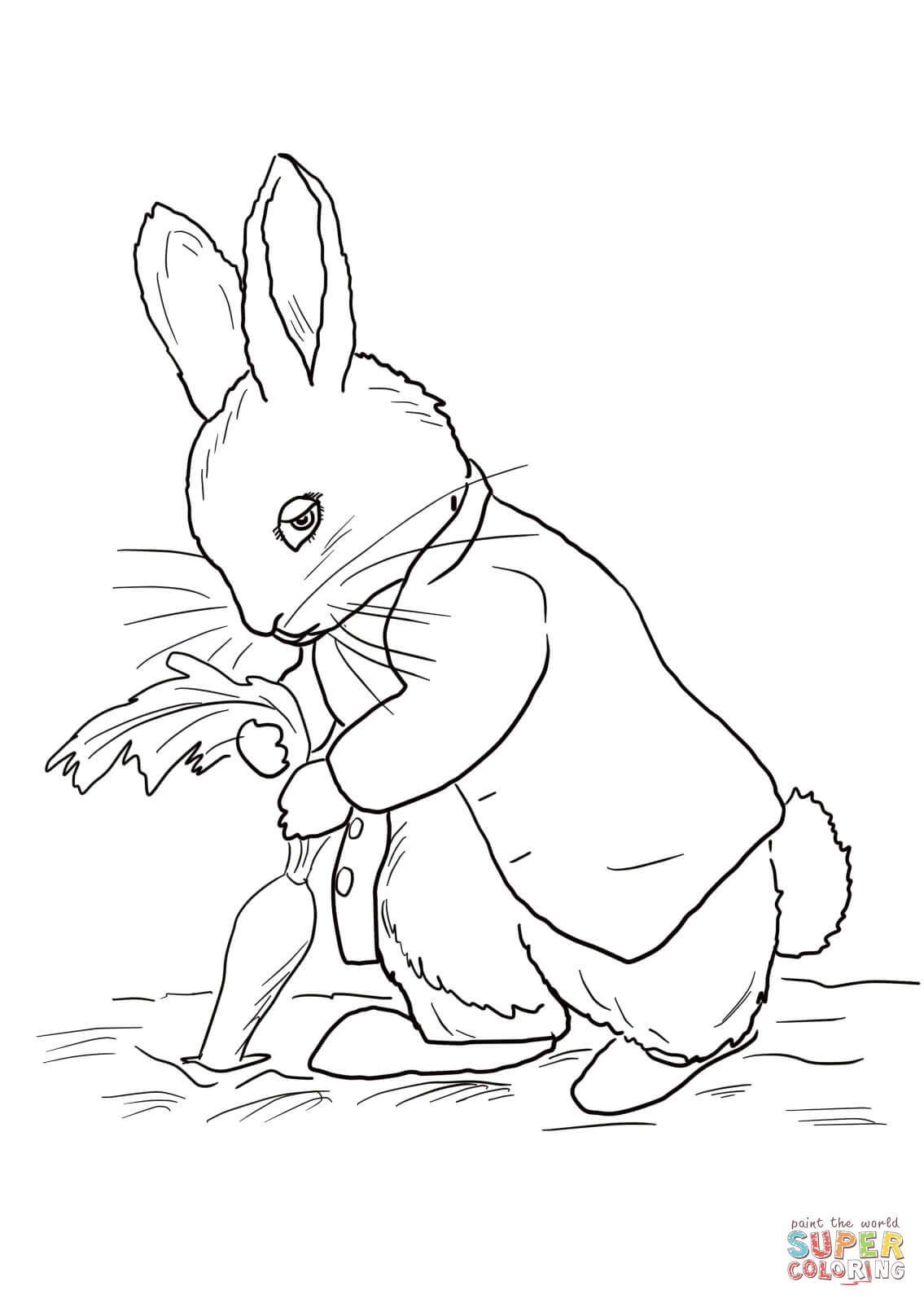 1135x1600 Magic Rabbit Coloring Pages Fresh Peter Rabbit Stealing Carrots