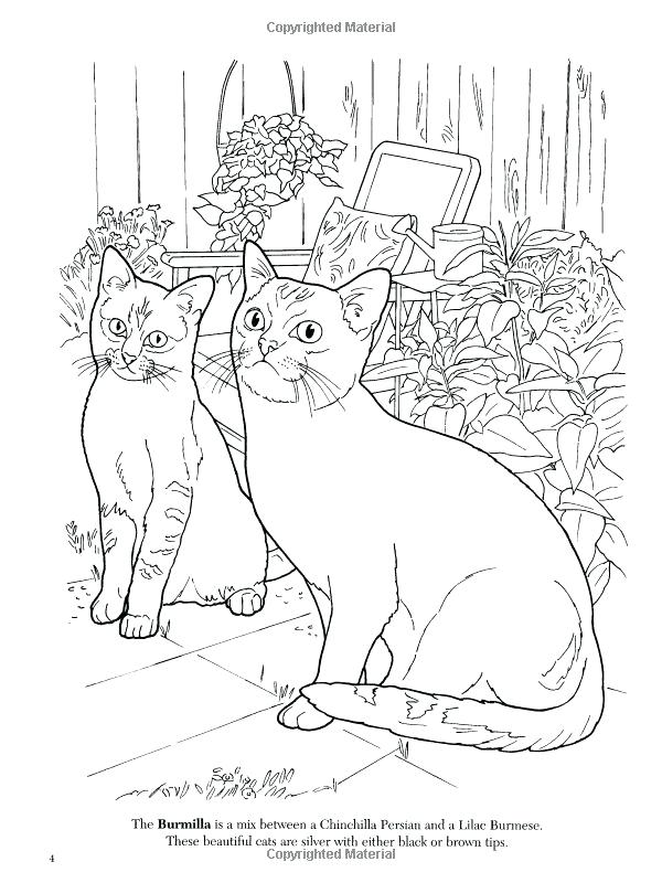 600x800 Burmese Animal Coloring Pages Animal Coloring Pages Adult Books
