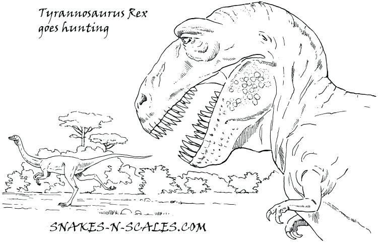 750x482 Burmese Animal Coloring Pages Tyrannosaurus Coloring Page Color