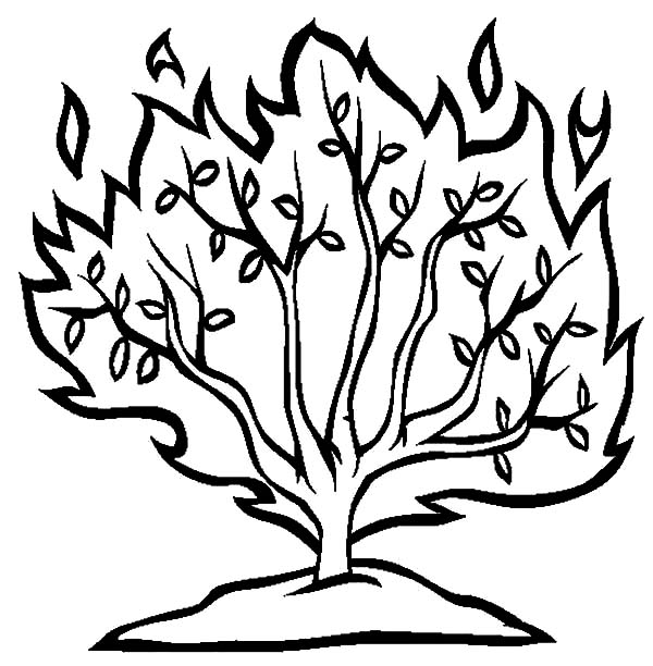 600x612 Burning Bush Moses Netart