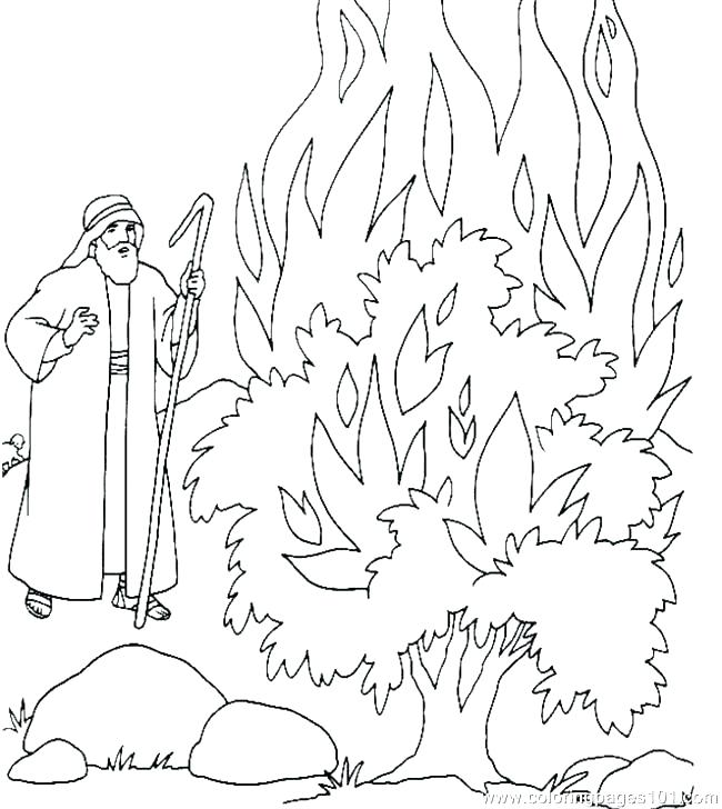 650x728 Moses And The Burning Bush Coloring Page Burning Bush Coloring