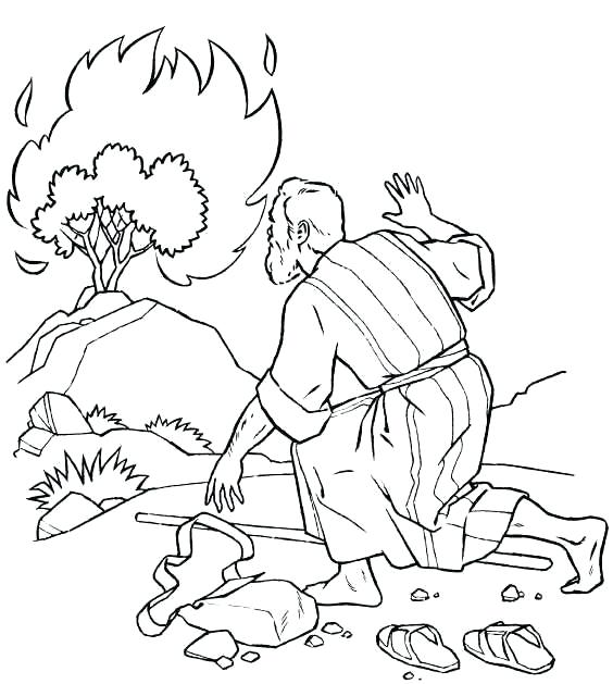 564x629 Burning Bush Coloring Page Burning Bush Coloring Page Exclusive