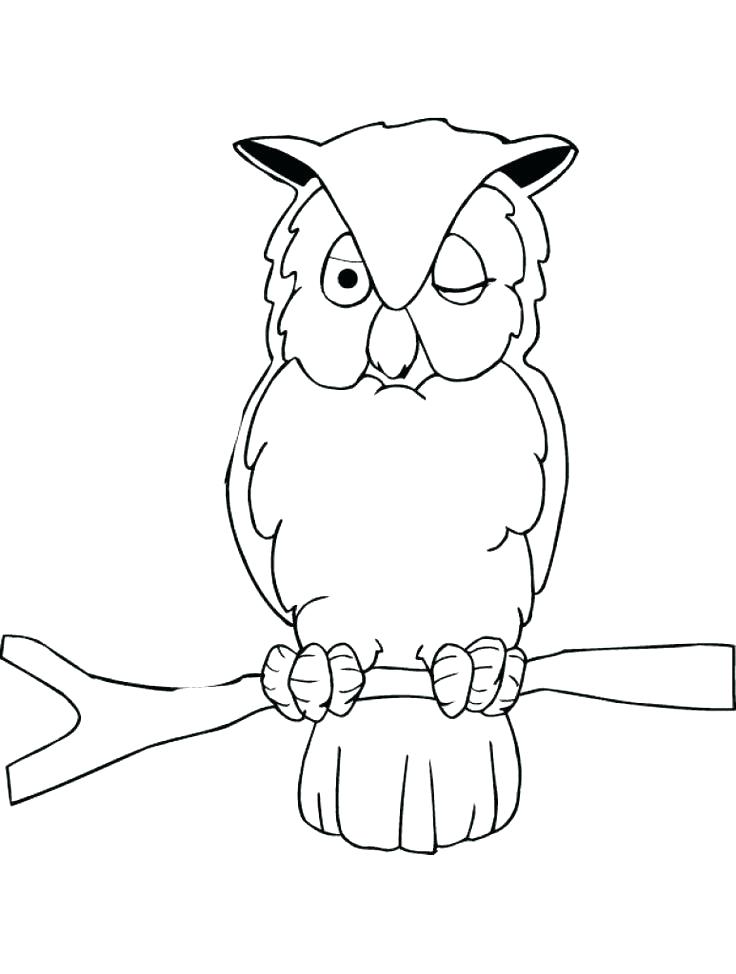 736x974 Cute Owl Coloring Pages For Adults Baby Page To Print Color
