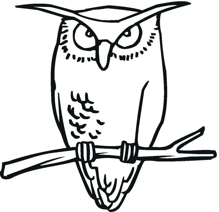 736x710 Great Horned Owl Coloring Page Burrowing Owl Great Horned Owl