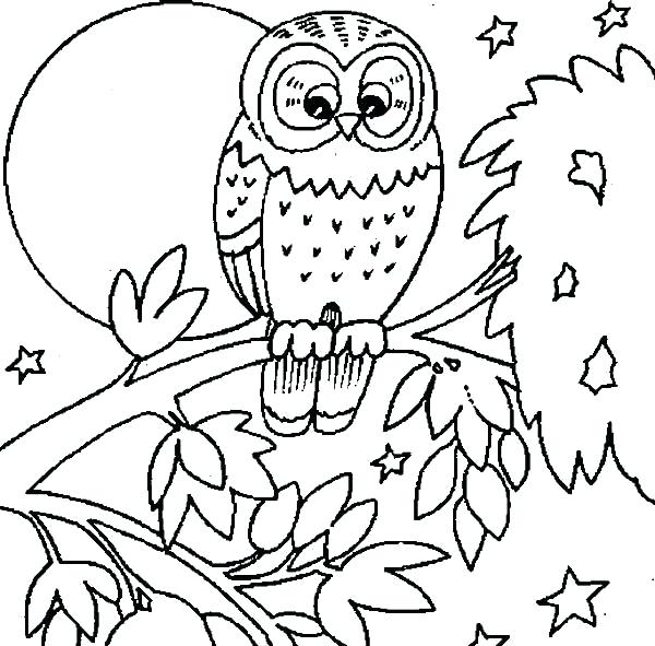600x591 Owls Coloring Pages Burrowing Owl Coloring Page Owls Coloring