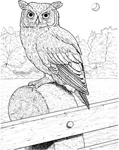 236x296 Printable Owl Coloring Page Coloring Pages Owl (Birds Gt Owl
