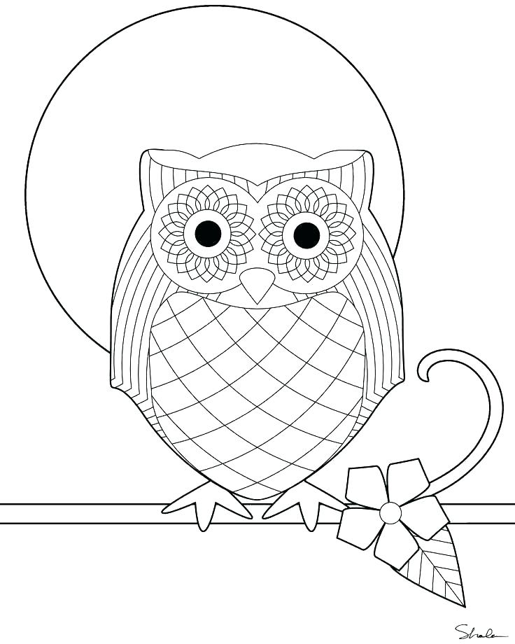 736x920 Snowy Owl Coloring Pages Snowy Owl Coloring Pages Page Free